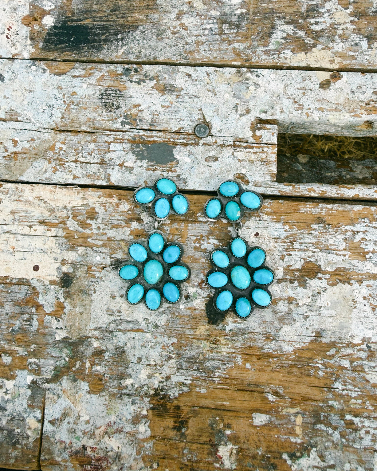 The Colt Cluster Earrings