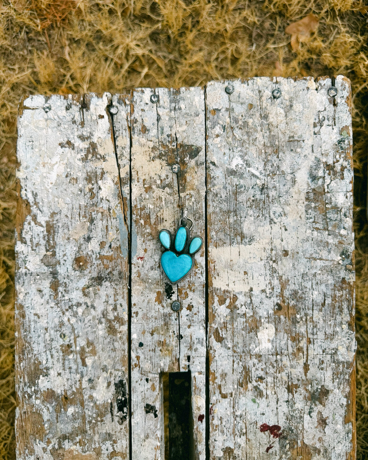 The Rio Pendant